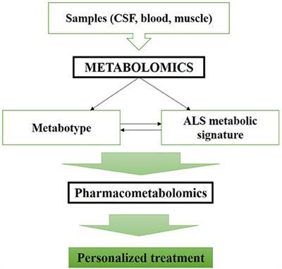 Metabolomics Biomarkers: A Strategy Toward Therapeutics Improvement in ALS